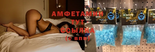 спайс Богданович