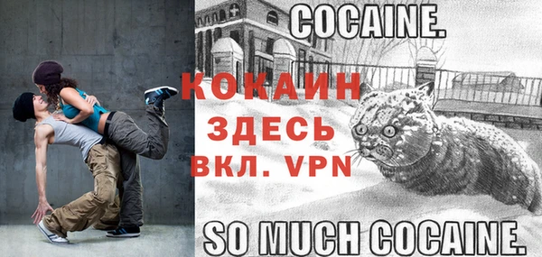 спайс Богданович