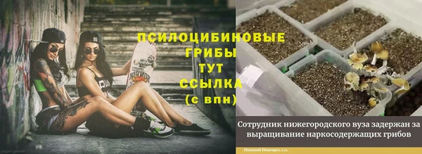 ешки Богородицк