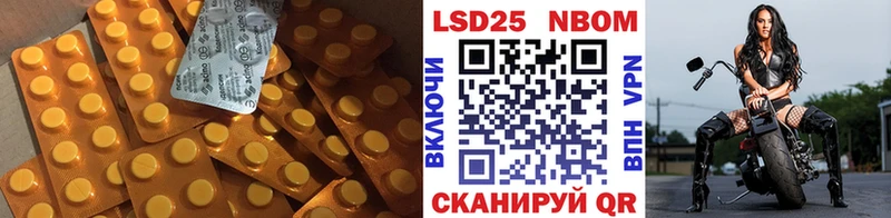 Лсд 25 экстази ecstasy  купить наркоту  Котлас 