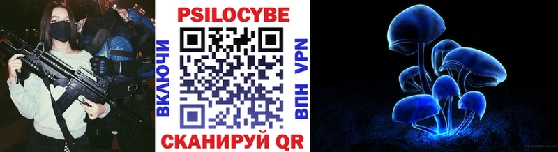 Псилоцибиновые грибы Cubensis  где купить наркоту  Котлас 